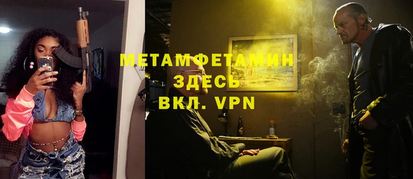 индика Богданович