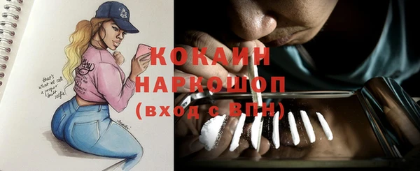 индика Богданович