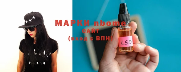индика Богданович