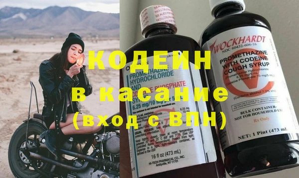 индика Богданович