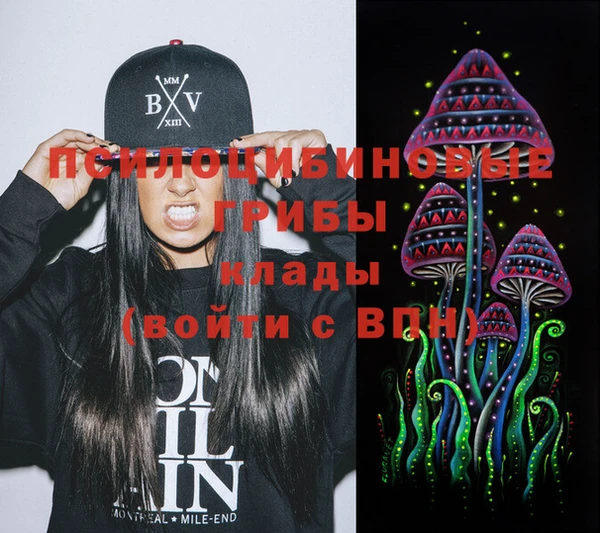 индика Богданович