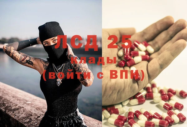 ПСИЛОЦИБИНОВЫЕ ГРИБЫ Белокуриха