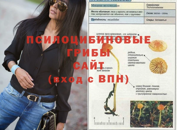 индика Богданович