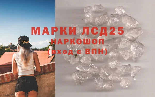 индика Богданович