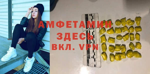индика Богданович